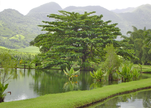 le val nature park mauritius